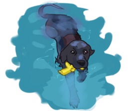 Big dogs over 50 sticker #12350181