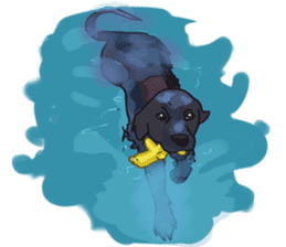 Big dogs over 50 sticker #12350181