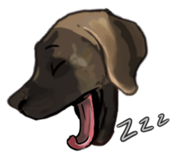 Big dogs over 50 sticker #12350182