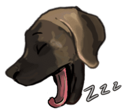 Big dogs over 50 sticker #12350182