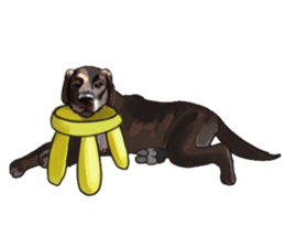 Big dogs over 50 sticker #12350183