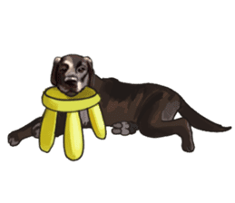 Big dogs over 50 sticker #12350183