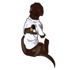 Big dogs over 50 sticker #12350185