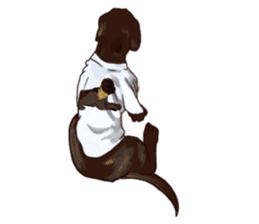 Big dogs over 50 sticker #12350185