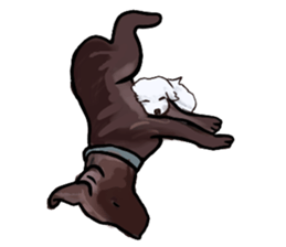 Big dogs over 50 sticker #12350186