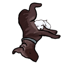 Big dogs over 50 sticker #12350186