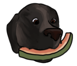 Big dogs over 50 sticker #12350187