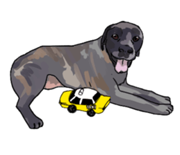 Big dogs over 50 sticker #12350188