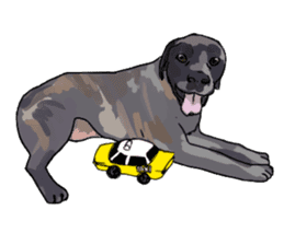Big dogs over 50 sticker #12350188