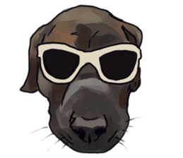 Big dogs over 50 sticker #12350189