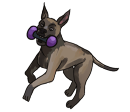 Big dogs over 50 sticker #12350190