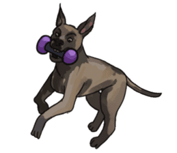 Big dogs over 50 sticker #12350190