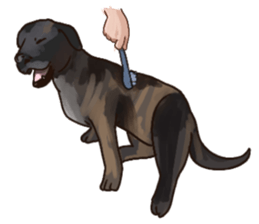 Big dogs over 50 sticker #12350191