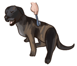 Big dogs over 50 sticker #12350191