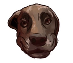 Big dogs over 50 sticker #12350192