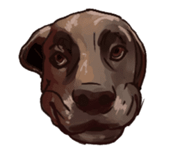 Big dogs over 50 sticker #12350192