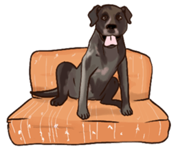 Big dogs over 50 sticker #12350193