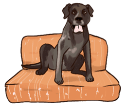 Big dogs over 50 sticker #12350193