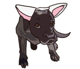 Big dogs over 50 sticker #12350194