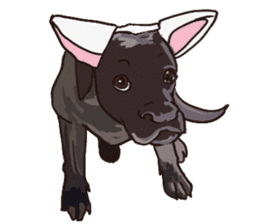 Big dogs over 50 sticker #12350194