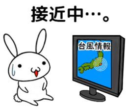 so cute rabbit usakichi.5 Summer ver sticker #12351843