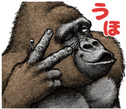 Gorilla gorilla 3 sticker #12354134