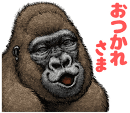 Gorilla gorilla 3 sticker #12354140