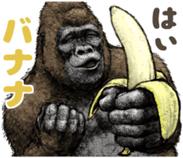 Gorilla gorilla 3 sticker #12354141