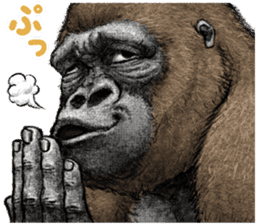 Gorilla gorilla 3 sticker #12354142