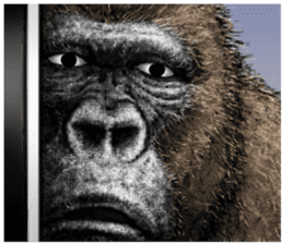 Gorilla gorilla 3 sticker #12354145