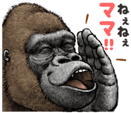 Gorilla gorilla 3 sticker #12354171