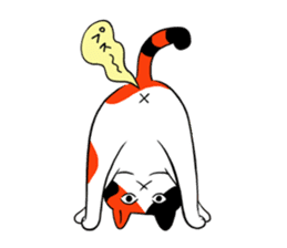 Huku cat sticker #12354348