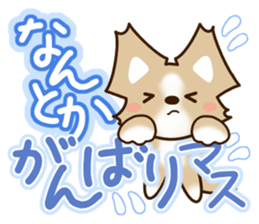 Honorific Chihuahua sticker #12355153