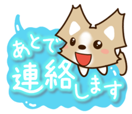 Honorific Chihuahua sticker #12355160