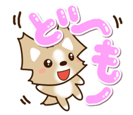 Honorific Chihuahua sticker #12355162