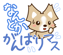 Honorific Chihuahua sticker #12355163
