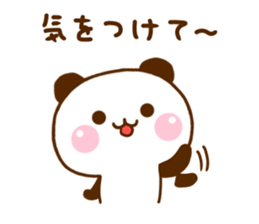 Panda Raccoon sticker #12355775