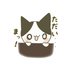 Coconosuke 1 sticker #12356129