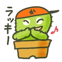 Hot every day of the small cactus