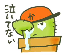 Hot every day of the small cactus sticker #12357614