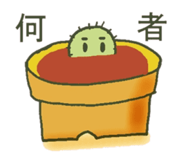 Hot every day of the small cactus sticker #12357643