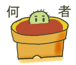 Hot every day of the small cactus sticker #12357643