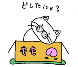 cardboard cute cat sticker #12357696