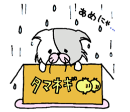 cardboard cute cat sticker #12357698