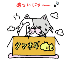 cardboard cute cat sticker #12357705