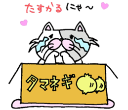 cardboard cute cat sticker #12357710