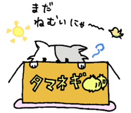 cardboard cute cat sticker #12357712