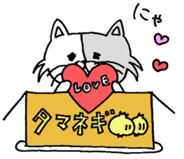 cardboard cute cat sticker #12357718