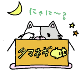 cardboard cute cat sticker #12357723