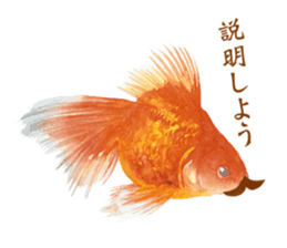 Every day! Animal village sticker #12360075